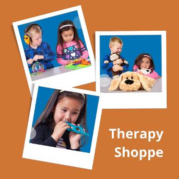 therapy shoppe therapy store Sensory Processing Disorder Sensory Diet Toys Equipment 
